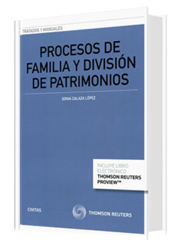 PROCESOS DE FAMILIA Y DIVISIÓN DE PATRIMONIOS 